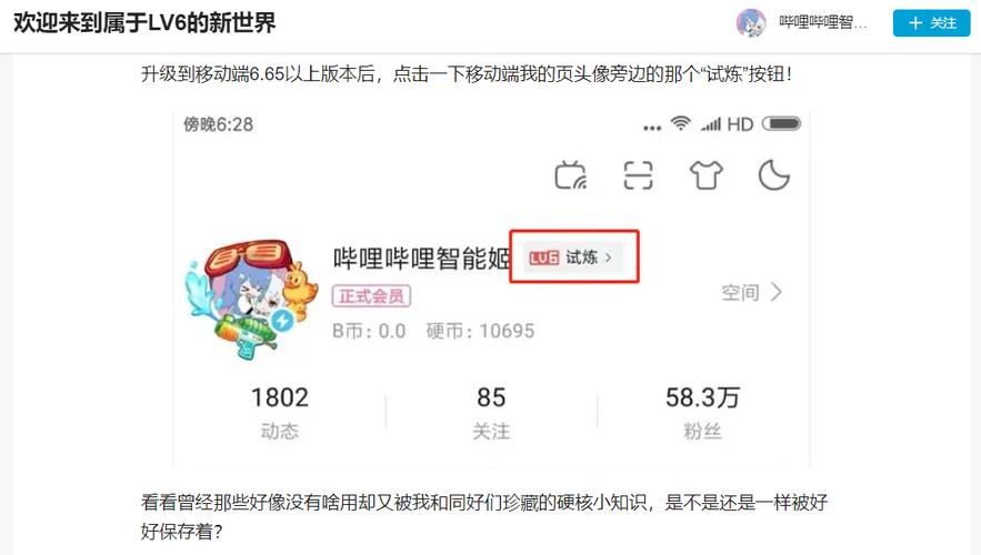 哔哩哔哩6级有什么用