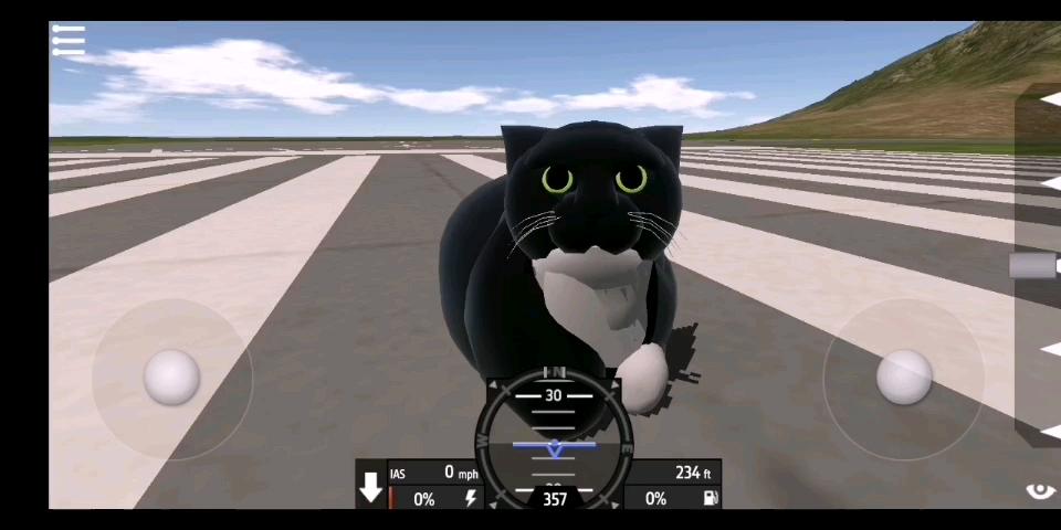 the cat游戏