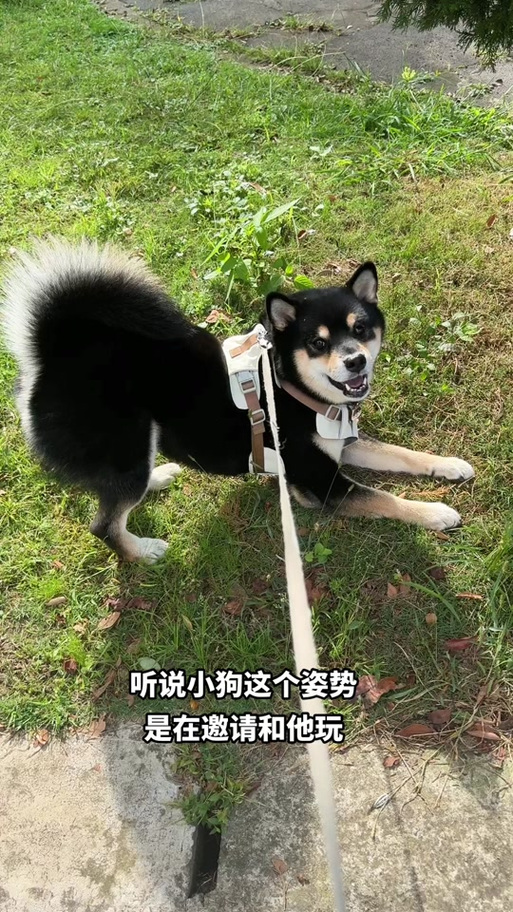 朋友叫去玩高情商回复