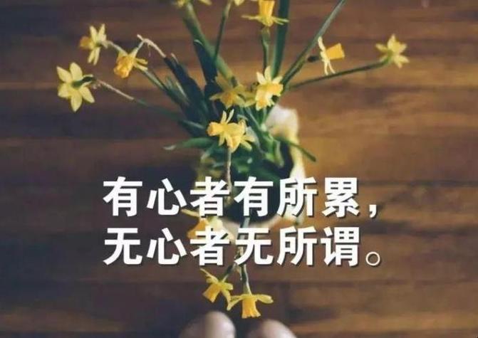 发朋友圈的精美句子截图