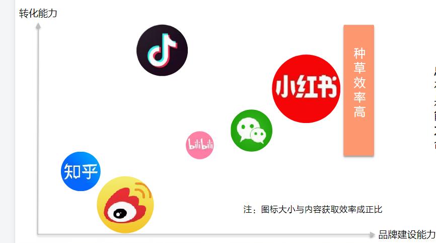 小红书是什么平台