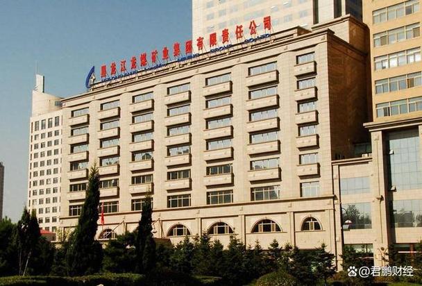 黑龙江省龙投控股集团有限公司