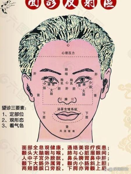 面诊十二句口诀图标