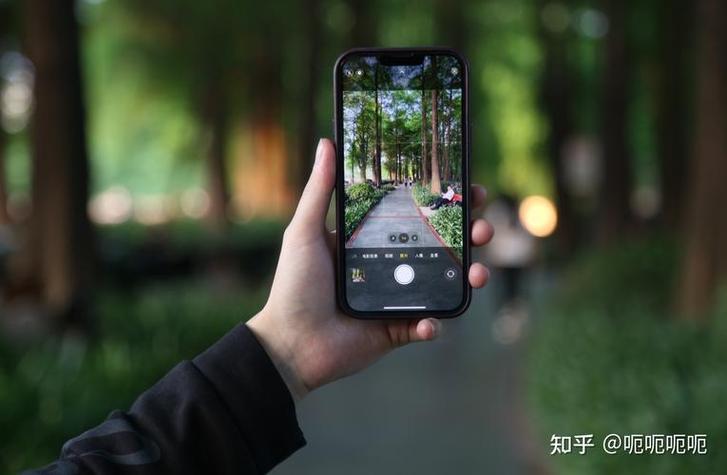 苹果11拍照没有闪光灯缩略图