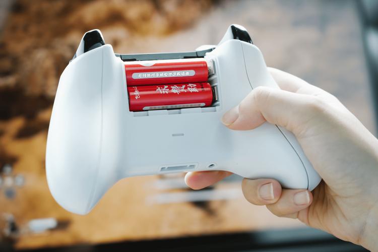 switch pro手柄电池