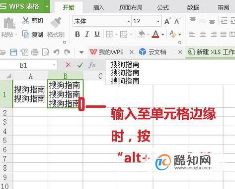 bioedit序列如何另起一行