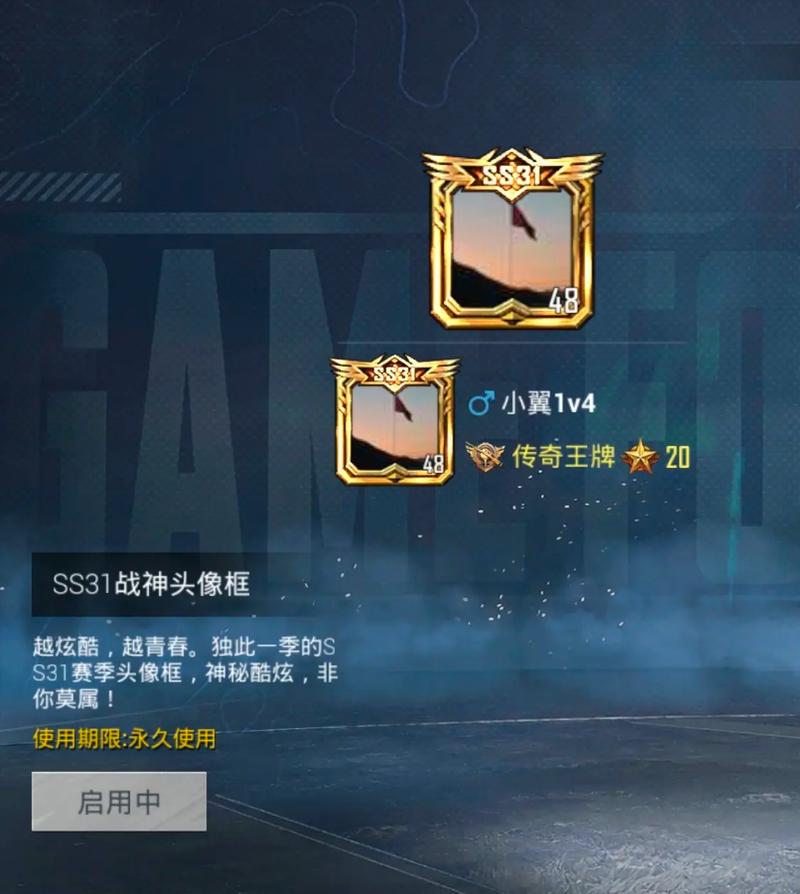 和平精英金色王者兵团头像框