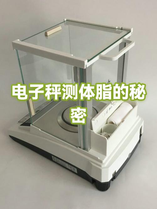 体脂秤脂肪率测不出