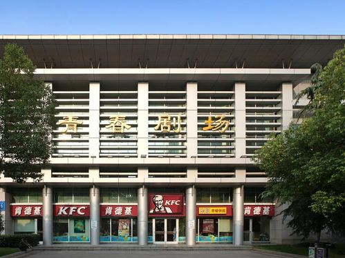 17岁高中生在线播放电视剧