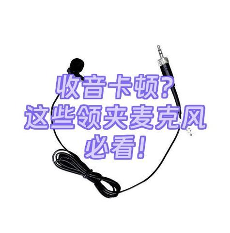 麦克风说话老是卡顿游戏截图