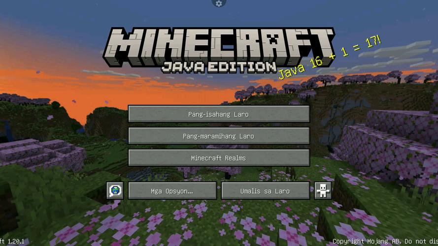 mc国际版1.20.51.01截图
