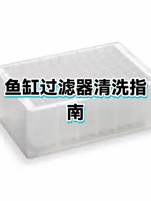 鱼缸清洗一次多少钱