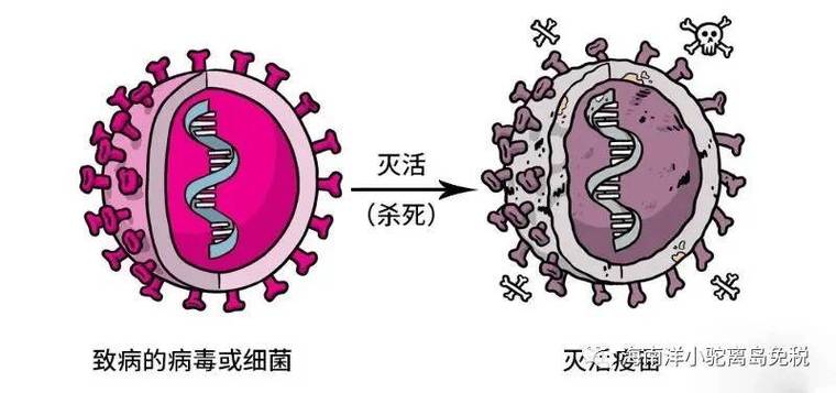 杀灭病毒最有效的方法