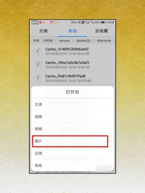 保存闪照的app