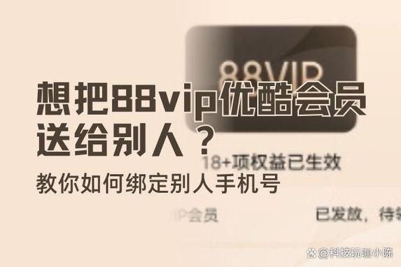 优酷账号被别人88vip绑定图标