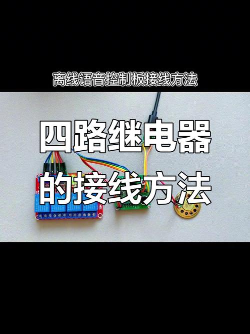 4线语音自检接线视频教程