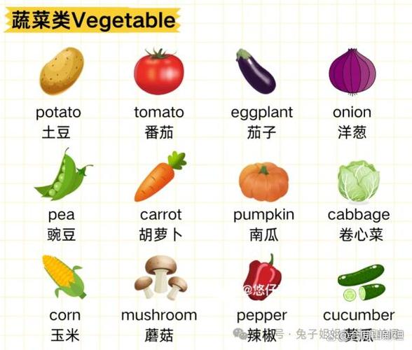food的英语怎么读
