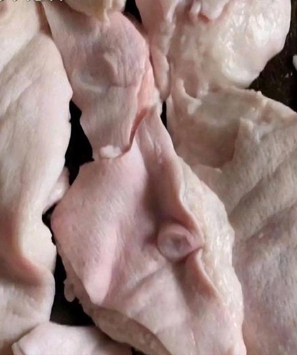 买的猪肉有奶头是母猪肉吗