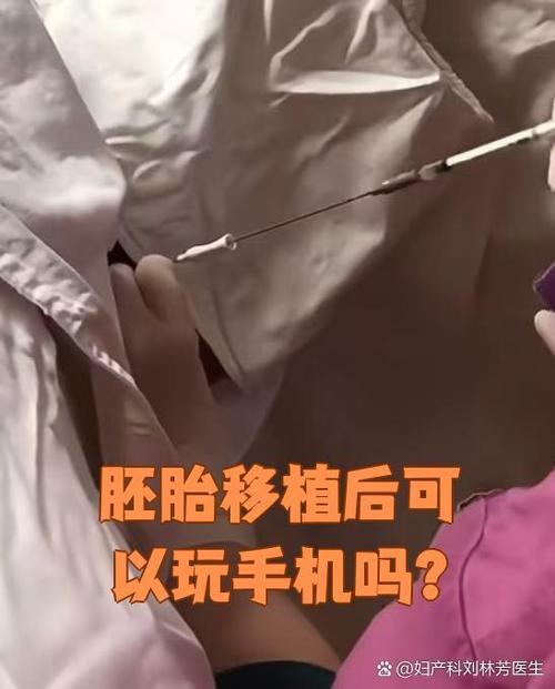 移植后可以看手机吗