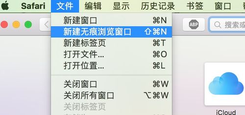 Safari无痕浏览