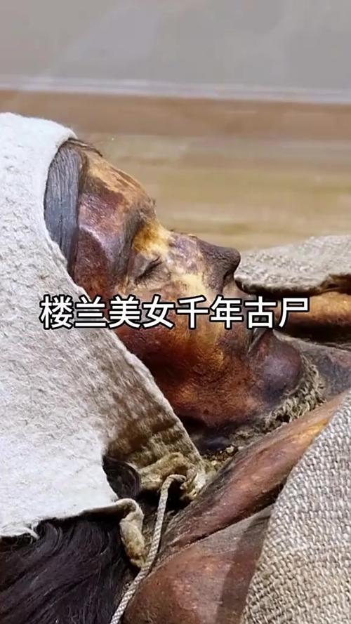 穿越我是千年古尸