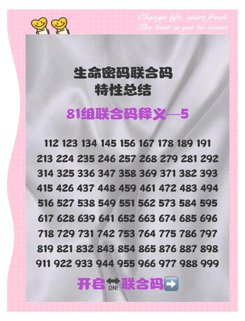 明暗二八正码正确答案
