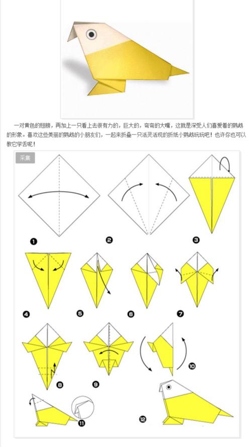 动物折纸大全