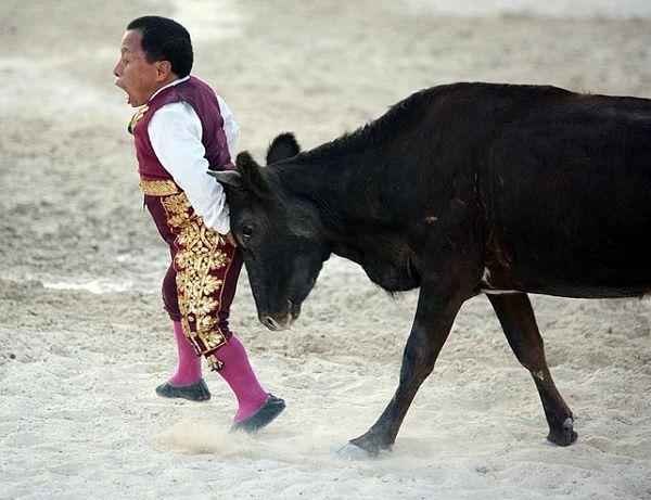 两人斗牛怎么玩的?