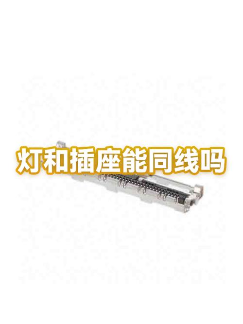 插座和灯能并联到一组线上吗
