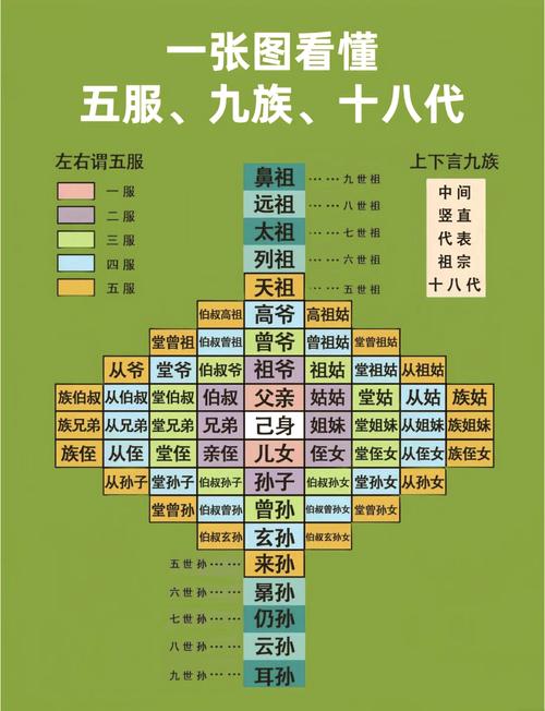 三亲九族的正确答案