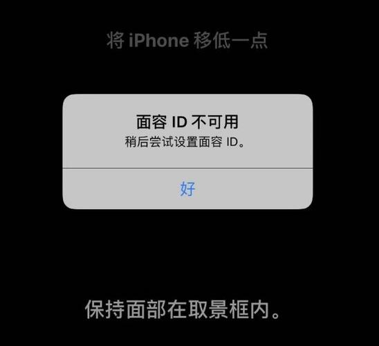 摔了一下面容id识别不了截图