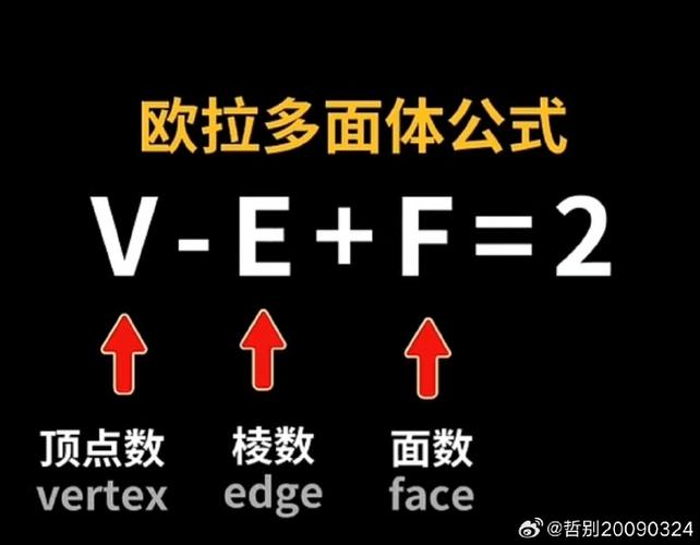 欧拉数学为什么这么火