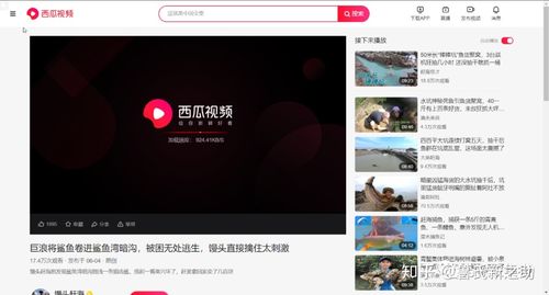 b站和西瓜视频哪个火图标
