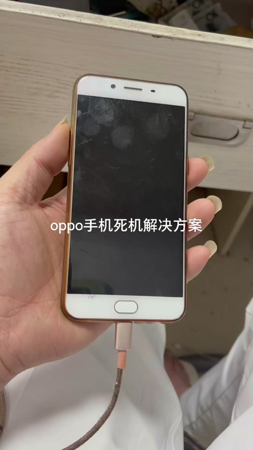 oppo重力感应修复游戏截图