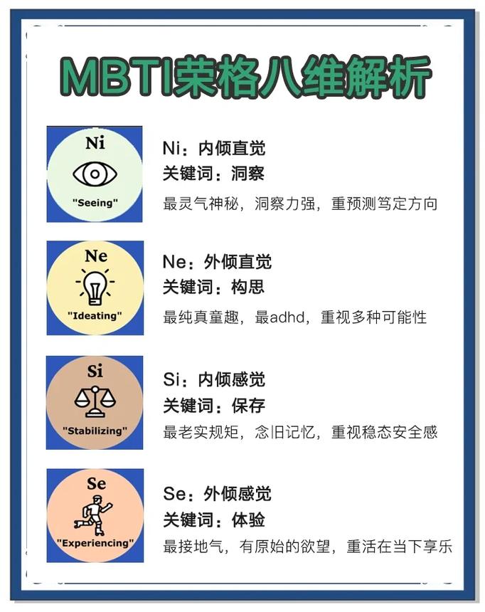 novacaine什么意思