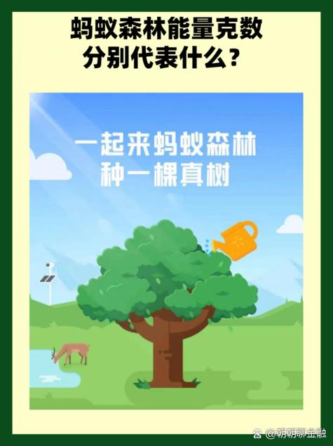 蚂蚁森林暗示了什么