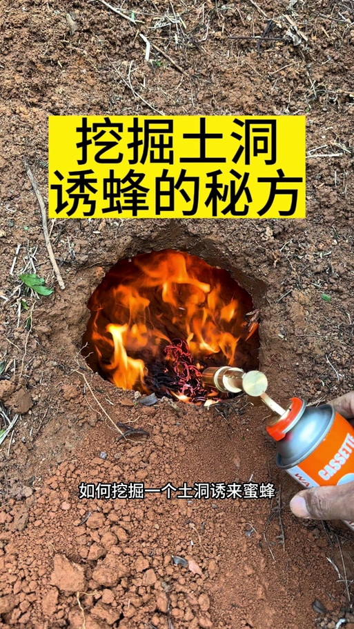 诱蜂最快的土办法缩略图