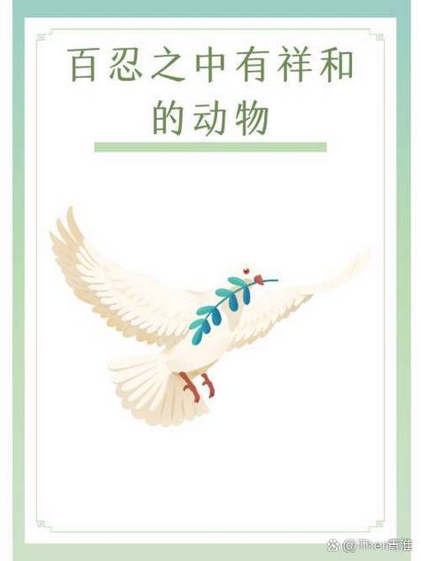 白鸽的象征意义缩略图