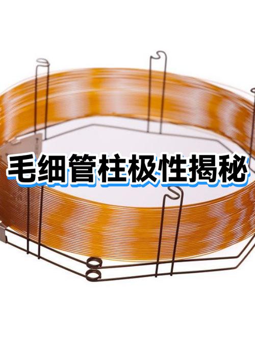 NC是正极还是负极