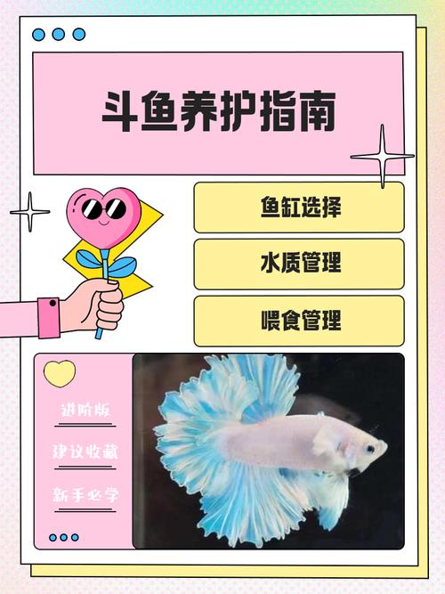斗鱼10级需要多少钱截图