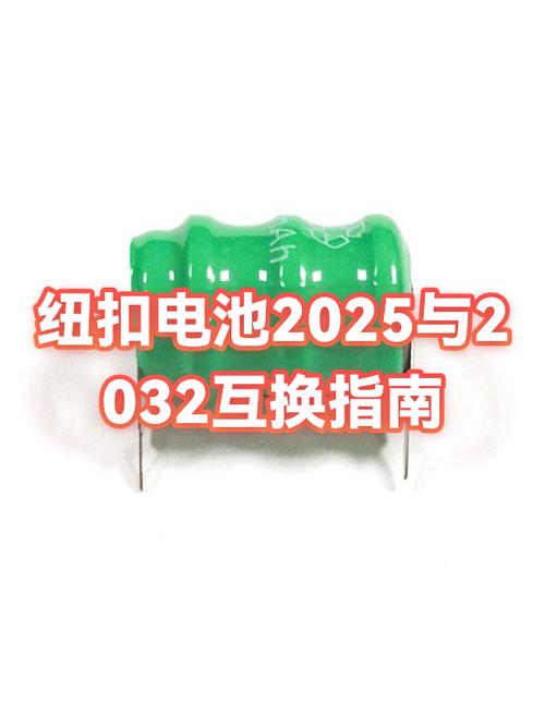 纽扣电池2025和2032通用吗游戏截图