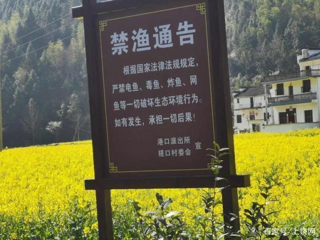 手机口没出鱼警察来抓吗