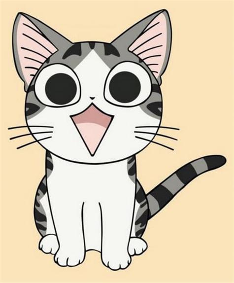 漫画猫官网进入