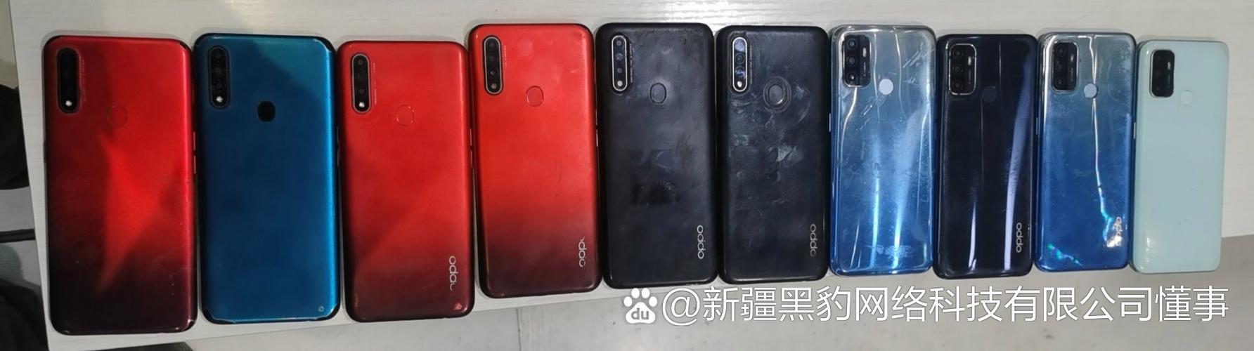 黑豹网络科技公司图标