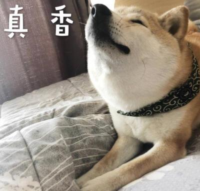 真香by煤球儿笔趣阁截图