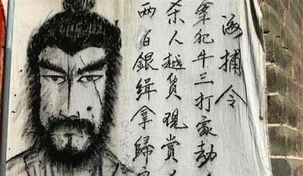 江洋大盗(国语版)截图