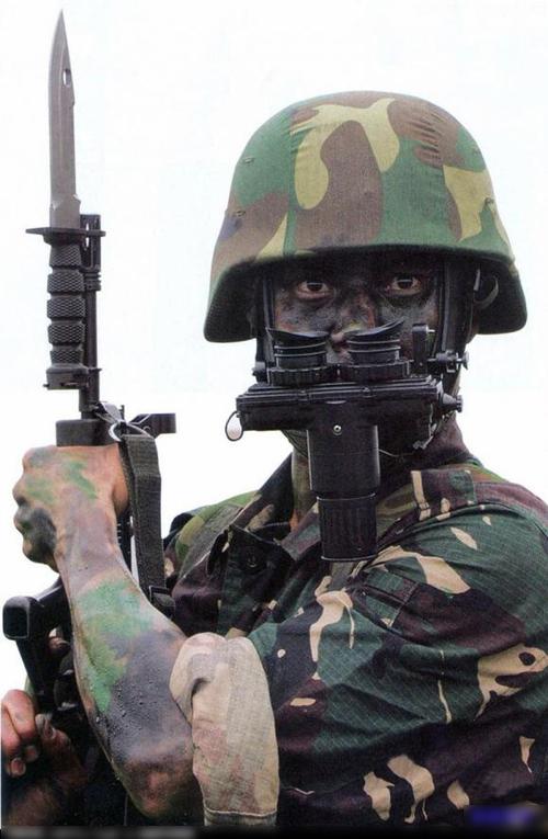 中国最神秘王牌特种兵图标