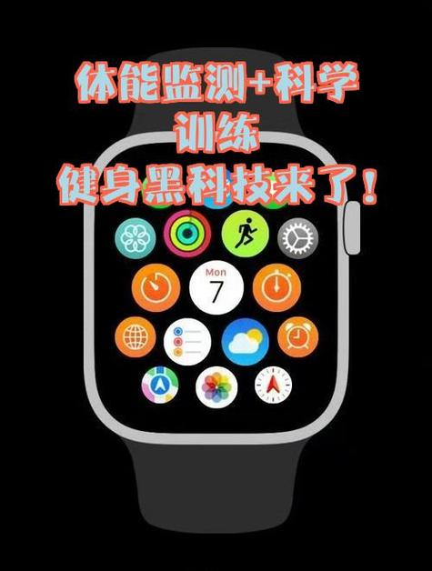 华为手表静息心率没有数据