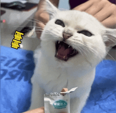 玖燃猫