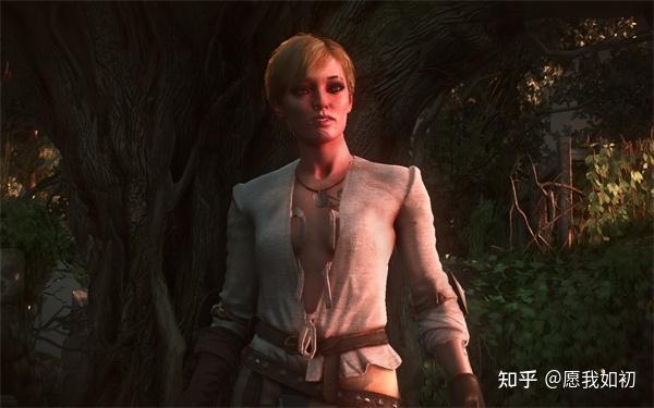 巫师3绅士整合版资源